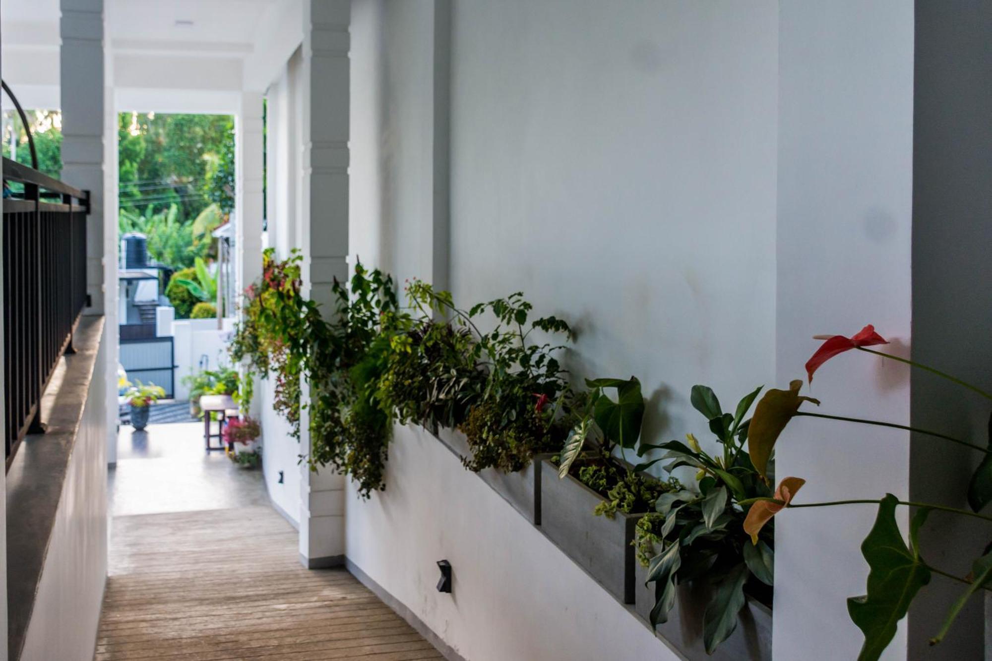 Zodiak Hotel แทนกาลเล ภายนอก รูปภาพ