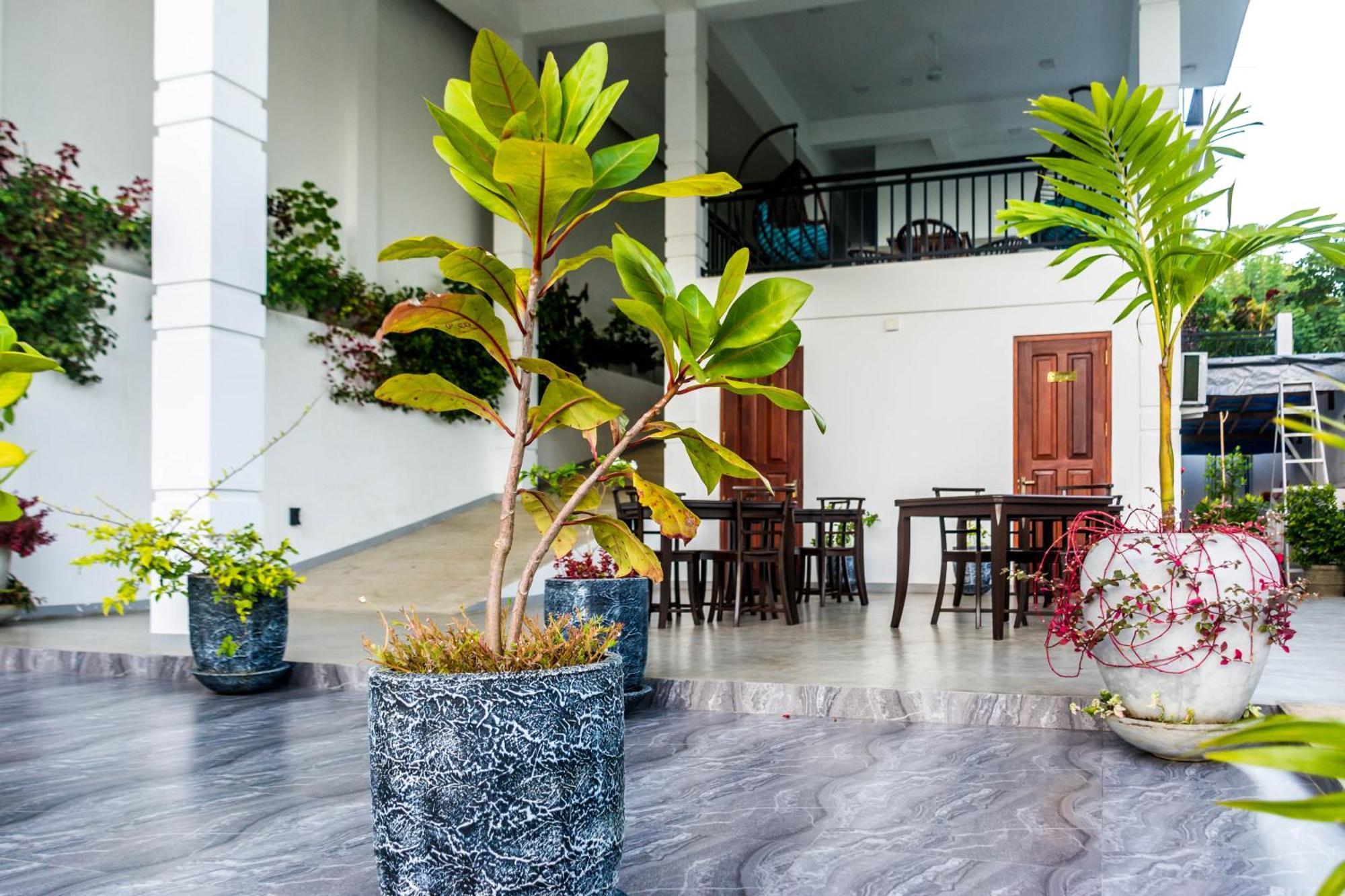 Zodiak Hotel แทนกาลเล ภายนอก รูปภาพ
