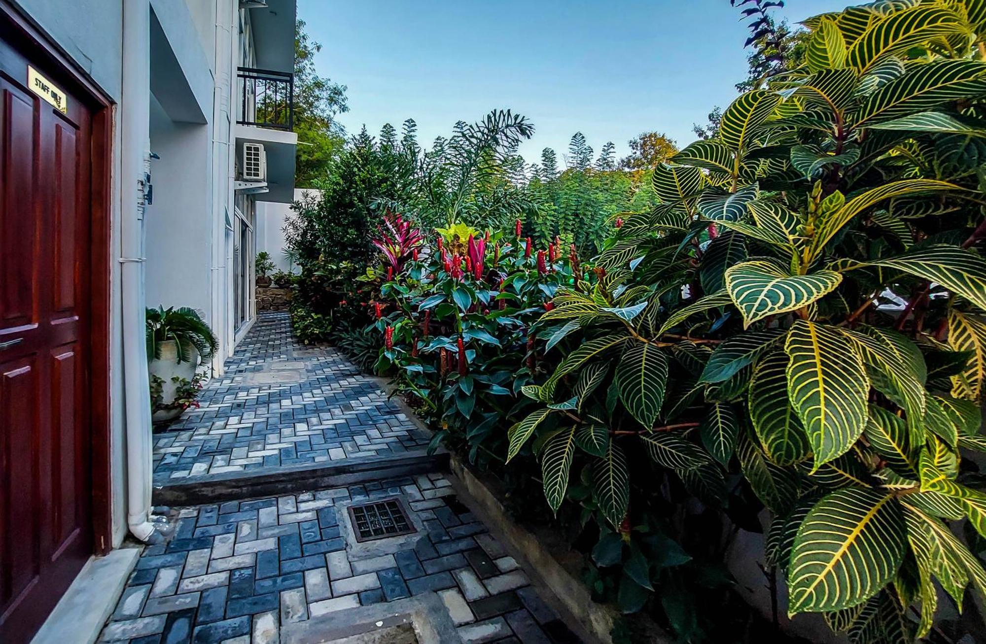 Zodiak Hotel แทนกาลเล ภายนอก รูปภาพ